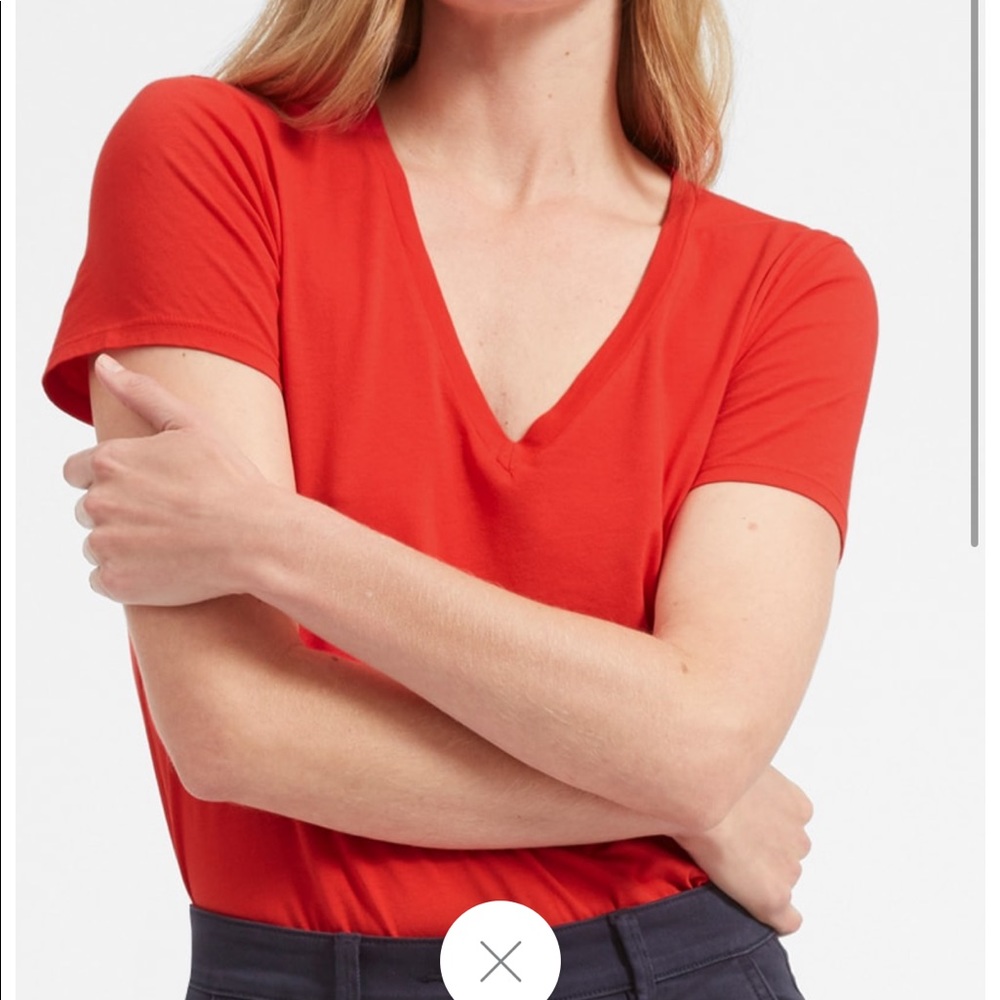 Everlane the cotton V t shirt in Red - Small.